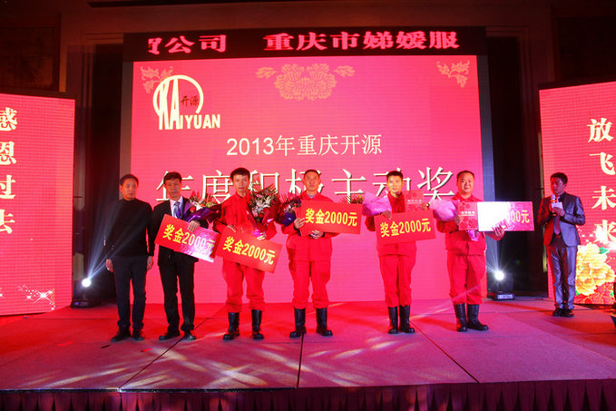 2013年度积极主动奖